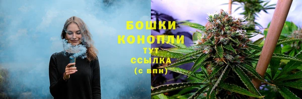 соль курить ск Белокуриха